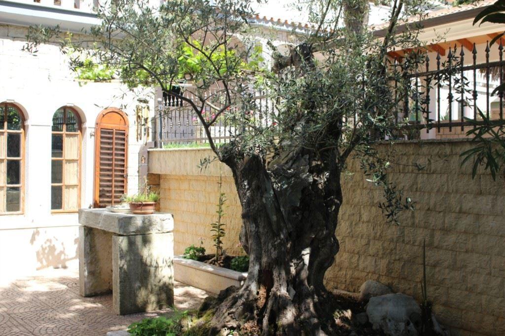 Apartment Maras Porec Ruang foto